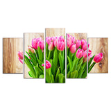 Pink-Tulip
